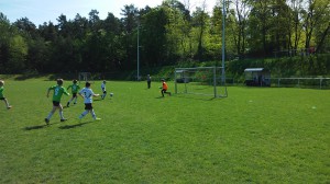 2015-05-08 10.43.38
