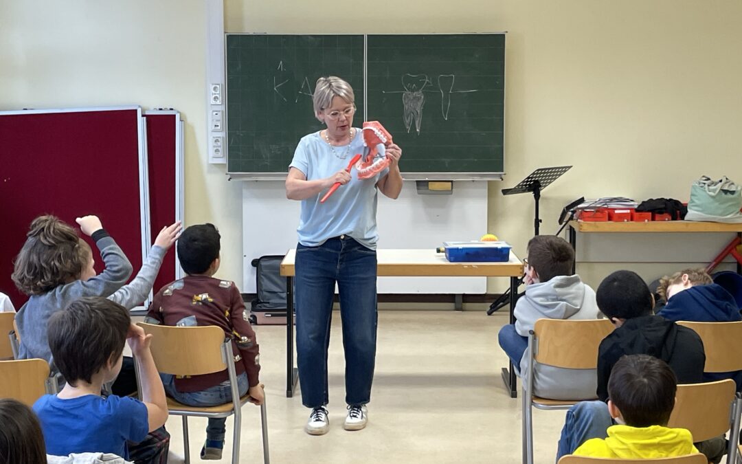 Zahnprophylaxe in der Schule